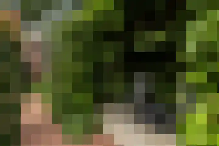 Wilhelminahof 11 Deurne thumbnail 44