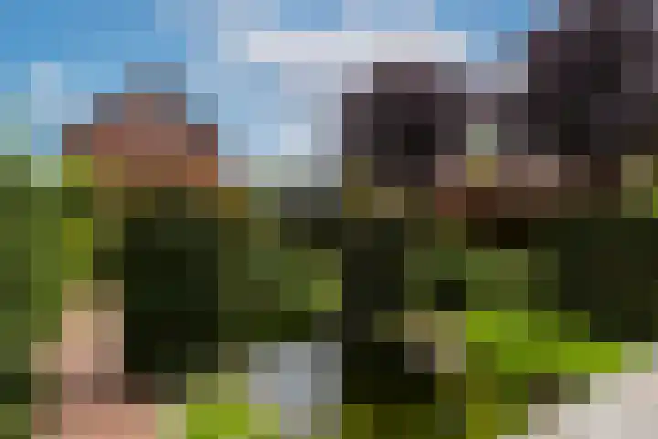 Wilhelminahof 11 Deurne thumbnail 46