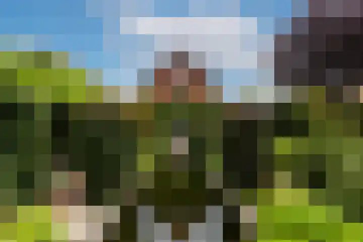 Wilhelminahof 11 Deurne thumbnail 47