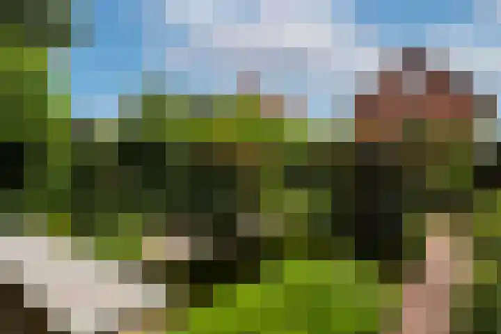 Wilhelminahof 11 Deurne thumbnail 48