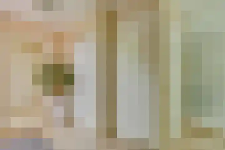 Wilhelminahof 11 Deurne thumbnail 5