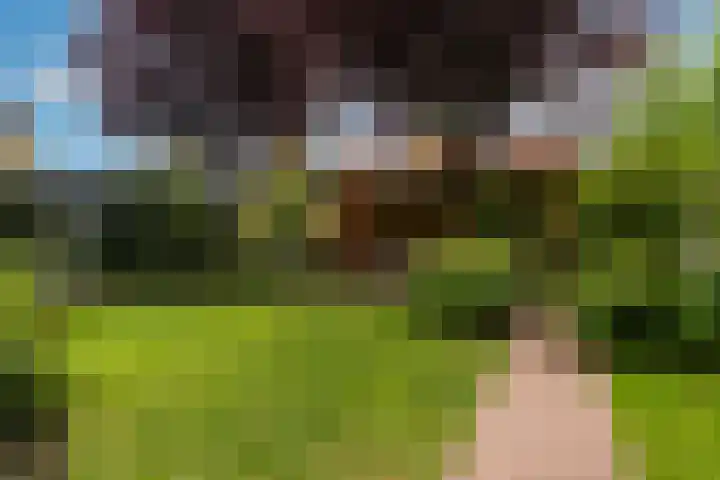 Wilhelminahof 11 Deurne thumbnail 50