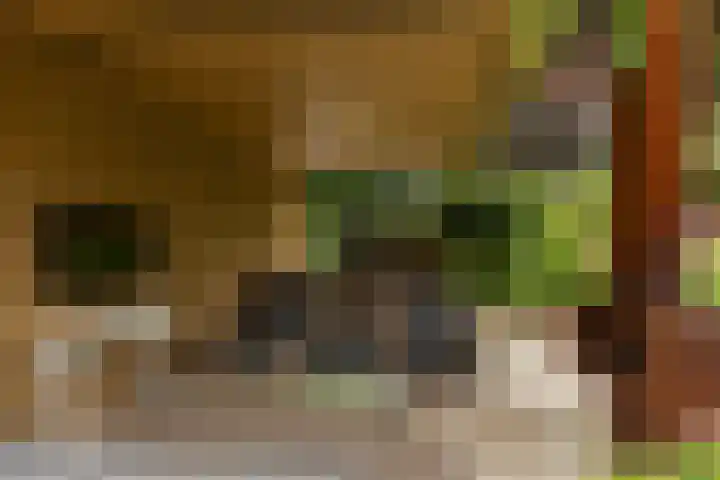 Wilhelminahof 11 Deurne thumbnail 52