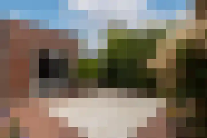 Wilhelminahof 11 Deurne thumbnail 53