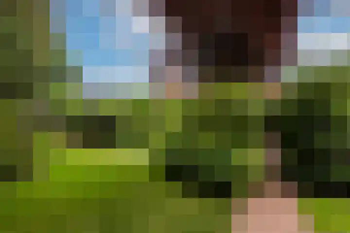 Wilhelminahof 11 Deurne thumbnail 55
