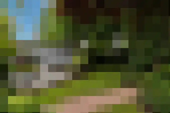 Wilhelminahof 11 Deurne thumbnail 57