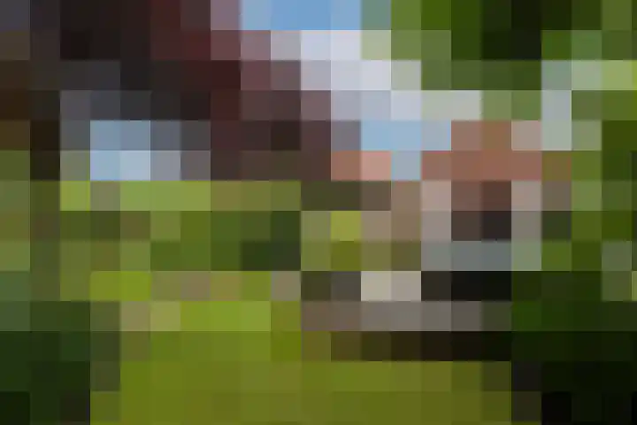 Wilhelminahof 11 Deurne thumbnail 60