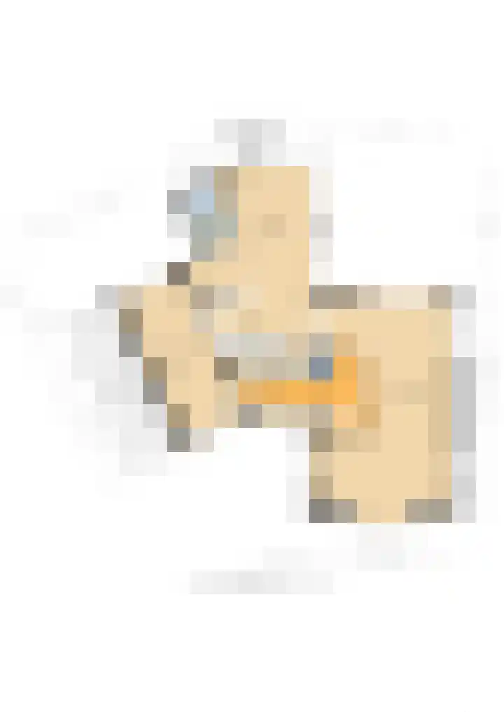 Wilhelminahof 11 Deurne thumbnail 61