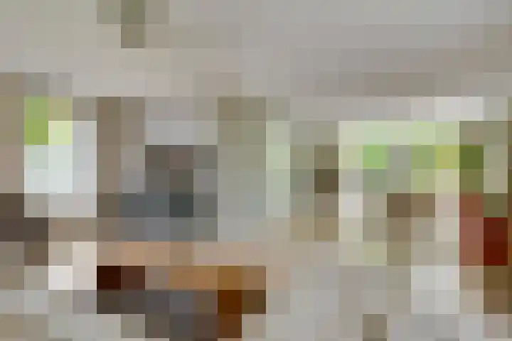 Wilhelminahof 11 Deurne thumbnail 9