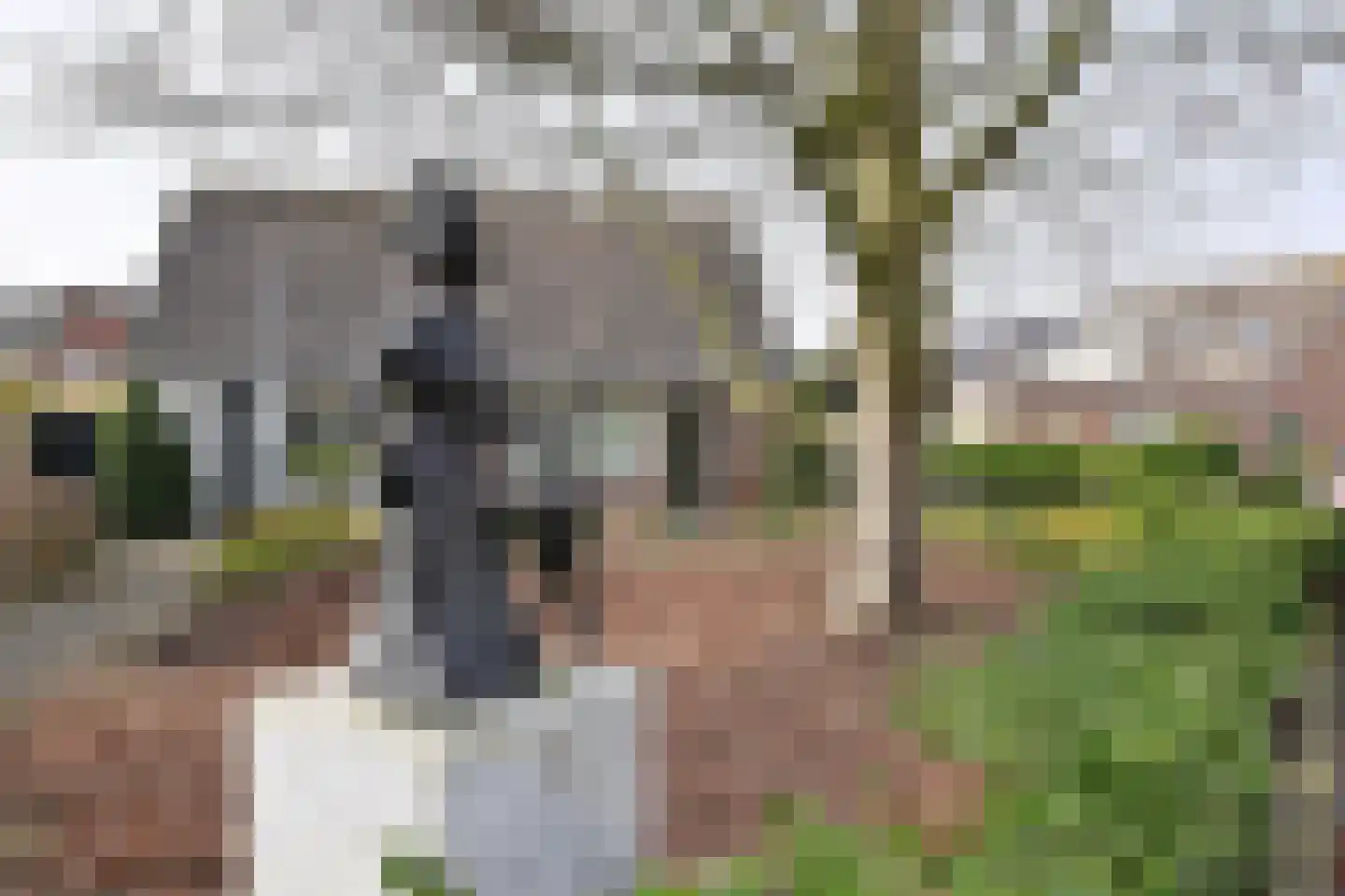 Wilhelminahof 11 Kortenhoef thumbnail 16