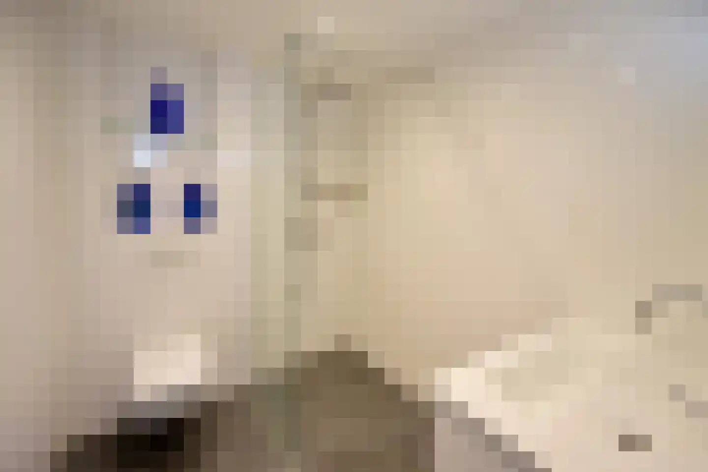 Wilhelminahof 11 Kortenhoef thumbnail 9