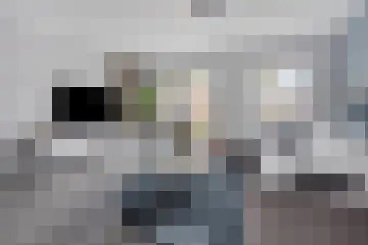 Wilhelminahof 13 Hedel thumbnail 13