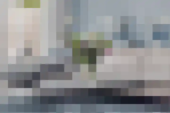 Wilhelminahof 13 Hedel thumbnail 16