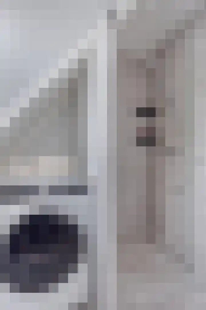 Wilhelminahof 13 Hedel thumbnail 25