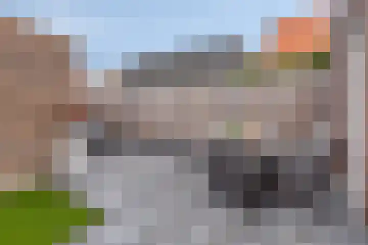 Wilhelminahof 13 Hedel thumbnail 28