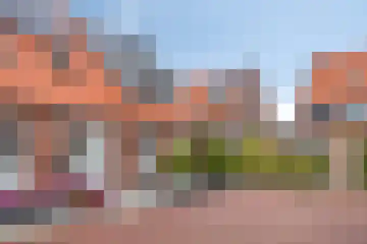 Wilhelminahof 13 Hedel thumbnail 34