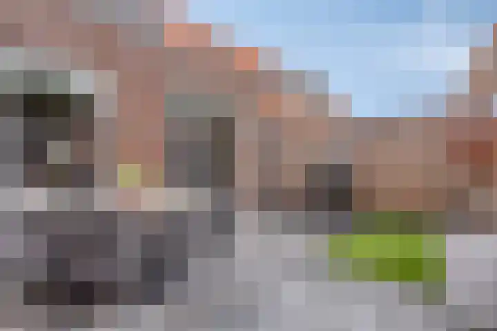 Wilhelminahof 13 Hedel thumbnail 5