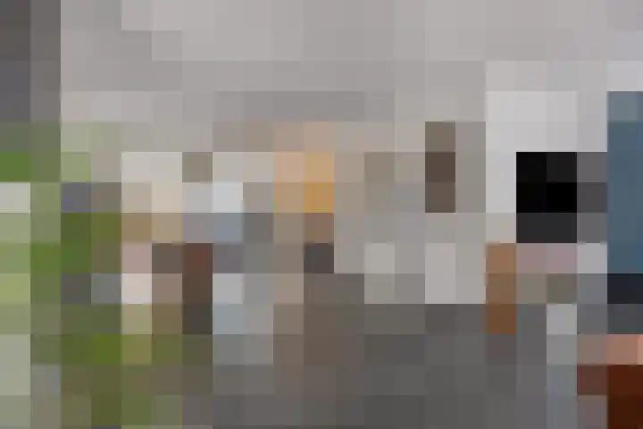 Wilhelminahof 2 Deurne thumbnail 17