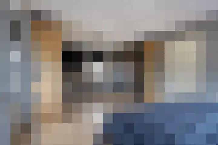 Wilhelminahof 2 Deurne thumbnail 41