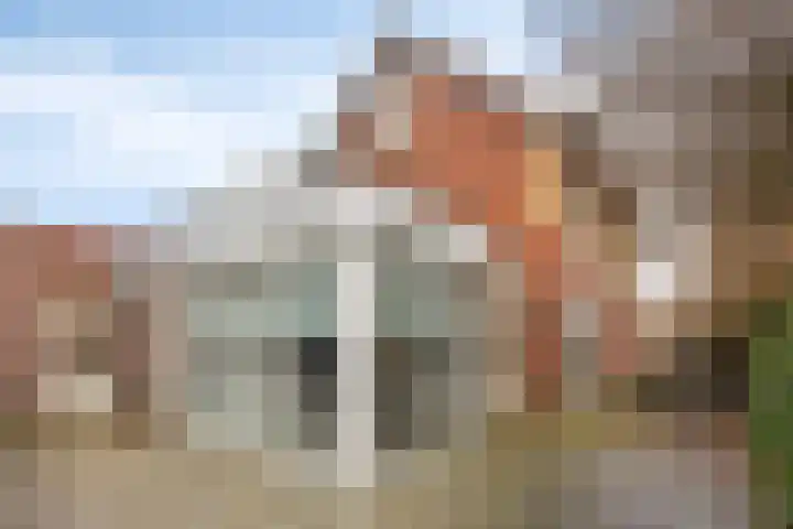 Wilhelminahof 2 Deurne thumbnail 5