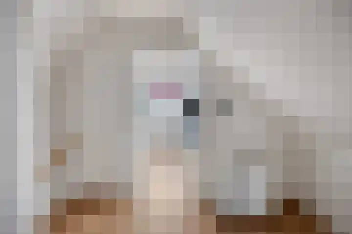 Wilhelminahof 2 Deurne thumbnail 52