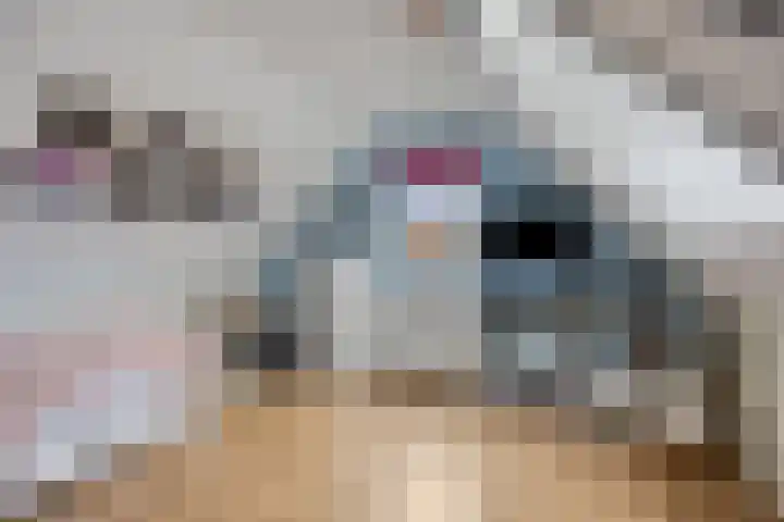 Wilhelminahof 2 Deurne thumbnail 53