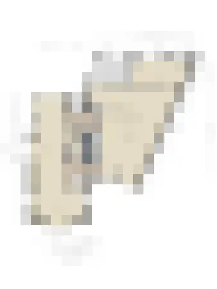 Wilhelminahof 2 Deurne thumbnail 63