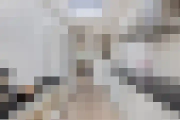 Wilhelminahof 7 Kortenhoef thumbnail 10