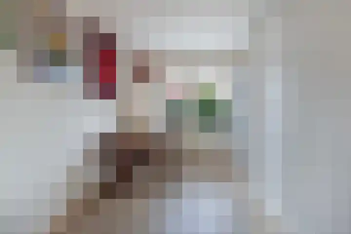 Wilhelminahof 7 Kortenhoef thumbnail 12