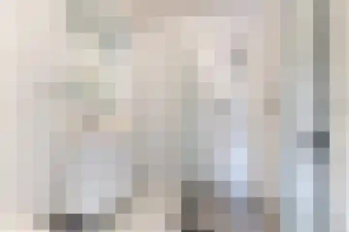 Wilhelminahof 7 Kortenhoef thumbnail 13