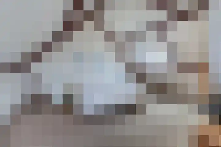 Wilhelminahof 7 Kortenhoef thumbnail 16