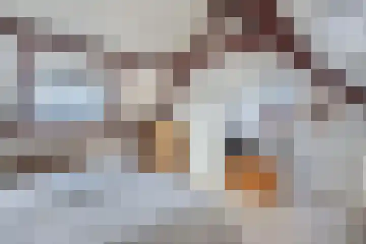 Wilhelminahof 7 Kortenhoef thumbnail 17