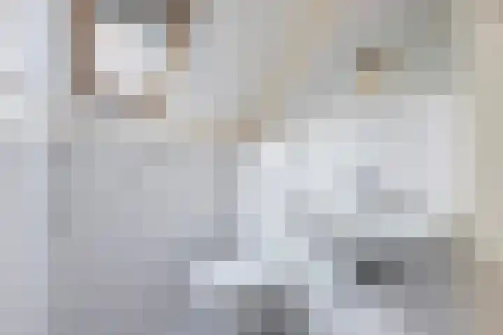 Wilhelminahof 7 Kortenhoef thumbnail 18