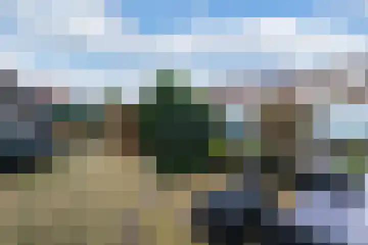Wilhelminahof 7 Kortenhoef thumbnail 22