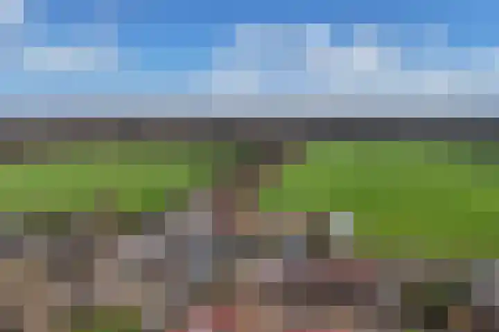 Wilhelminahof 7 Kortenhoef thumbnail 24