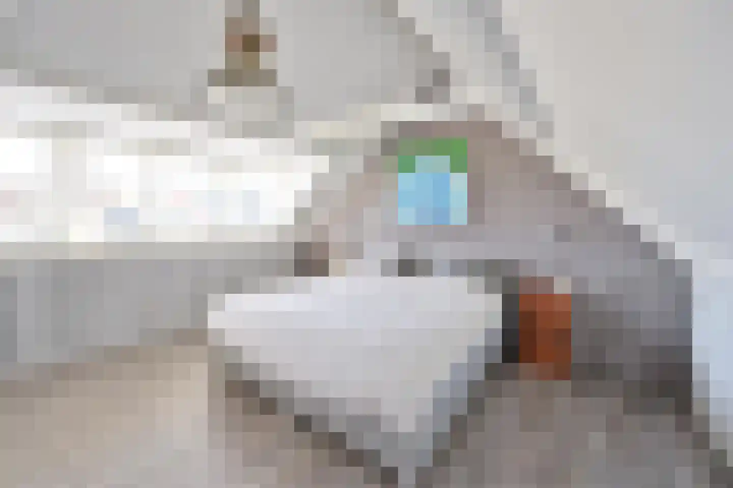 Wilhelminahof 9 Kortenhoef thumbnail 10