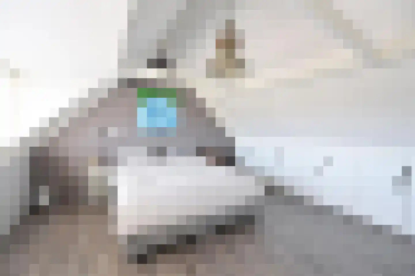 Wilhelminahof 9 Kortenhoef thumbnail 11