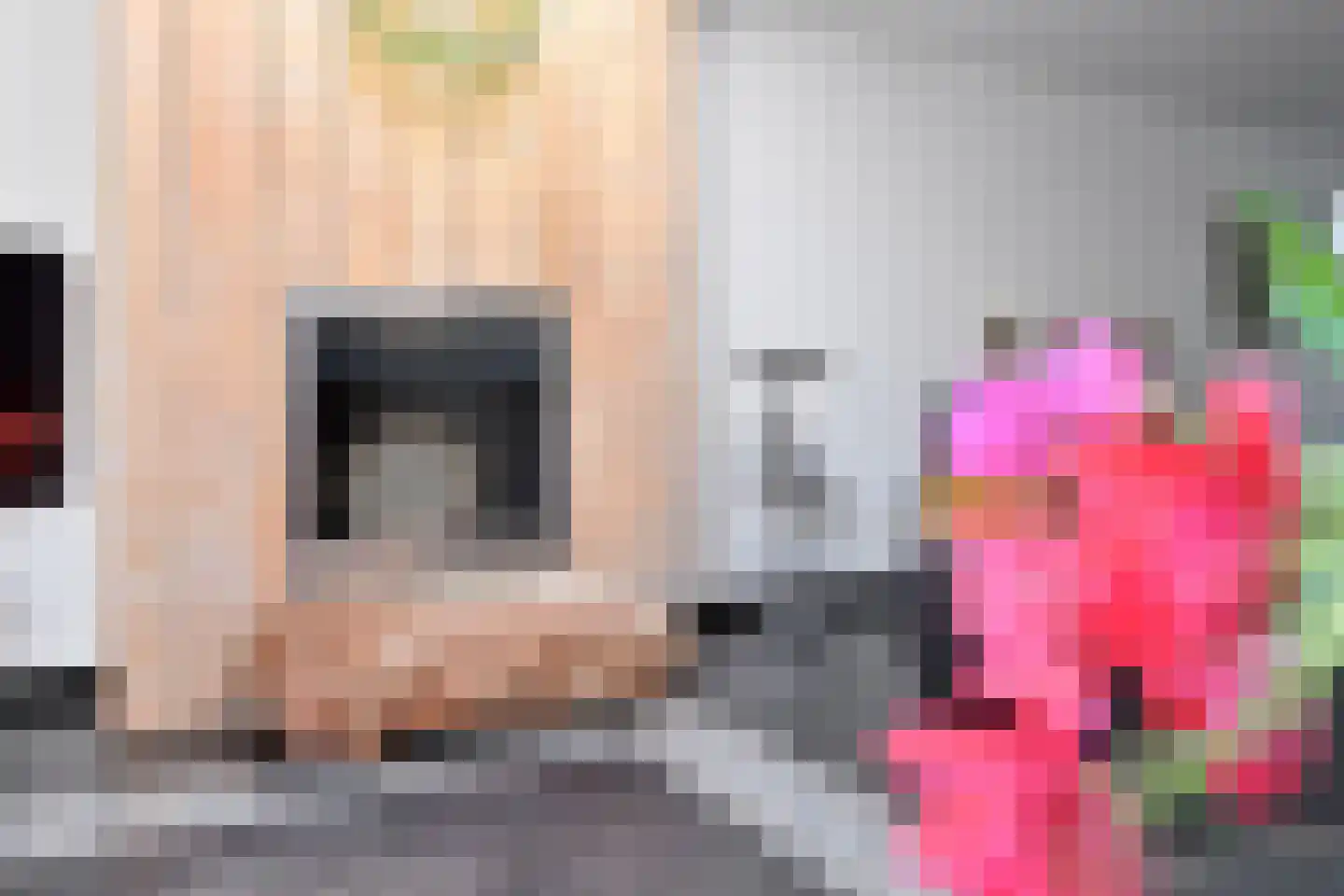 Wilhelminahof 9 Kortenhoef thumbnail 4