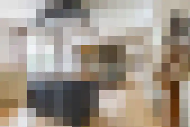 Wilhelminakade 1018 Groningen thumbnail 5