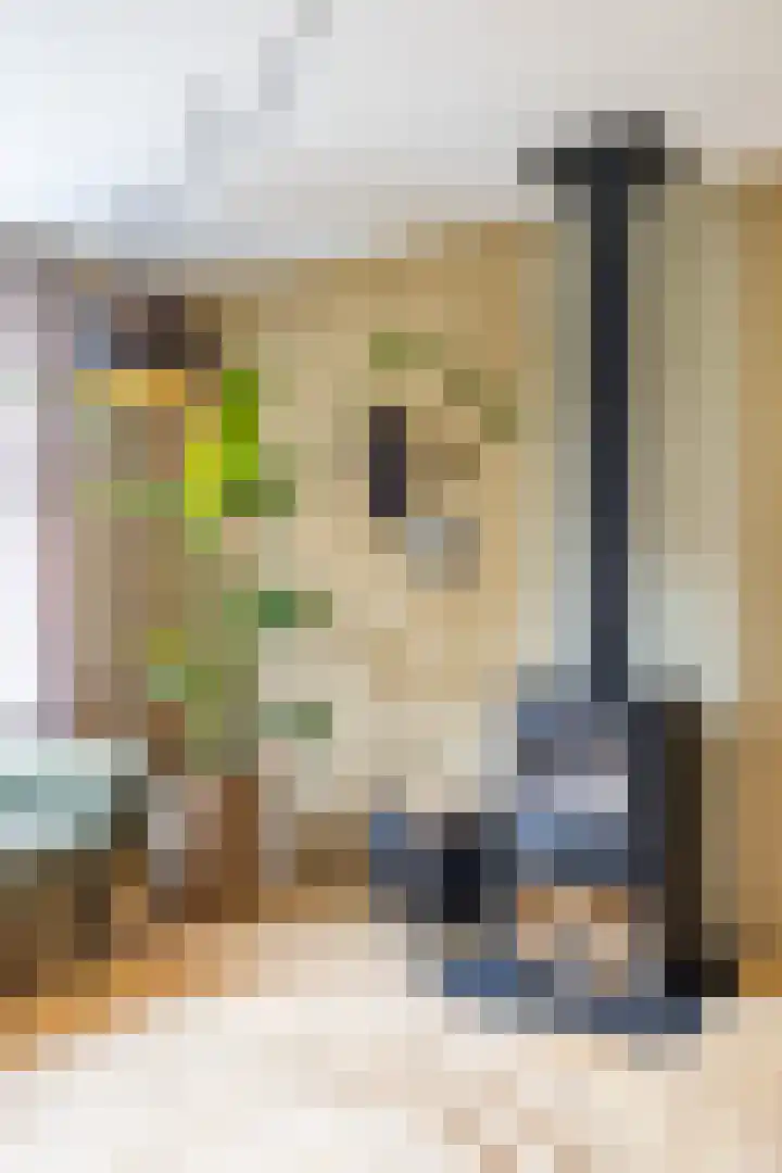 Wilhelminakade 1018 Groningen thumbnail 9