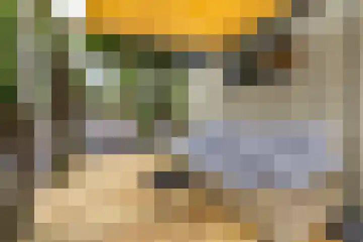 Wilhelminakade 1018 Groningen thumbnail 10