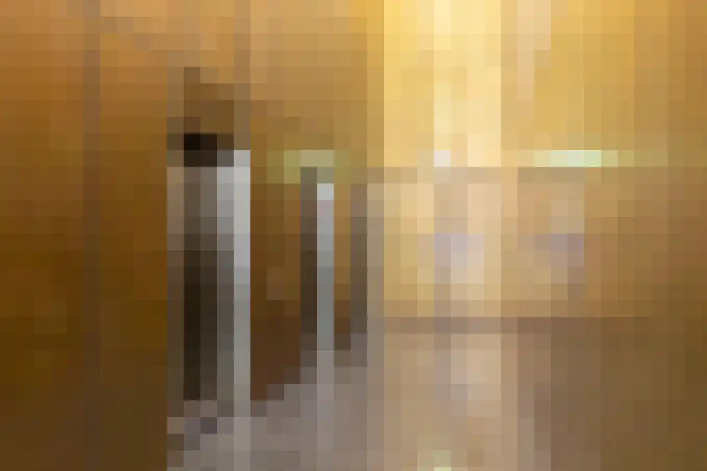 Wilhelminakade 213 Rotterdam thumbnail 5