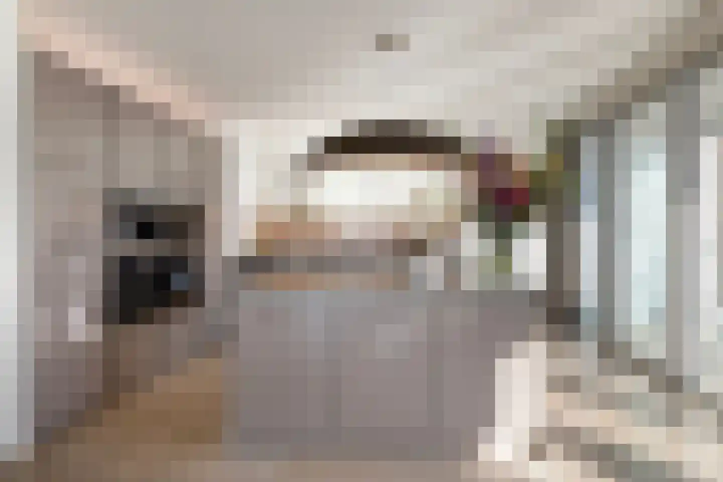 Wilhelminakade 239 Rotterdam thumbnail 10