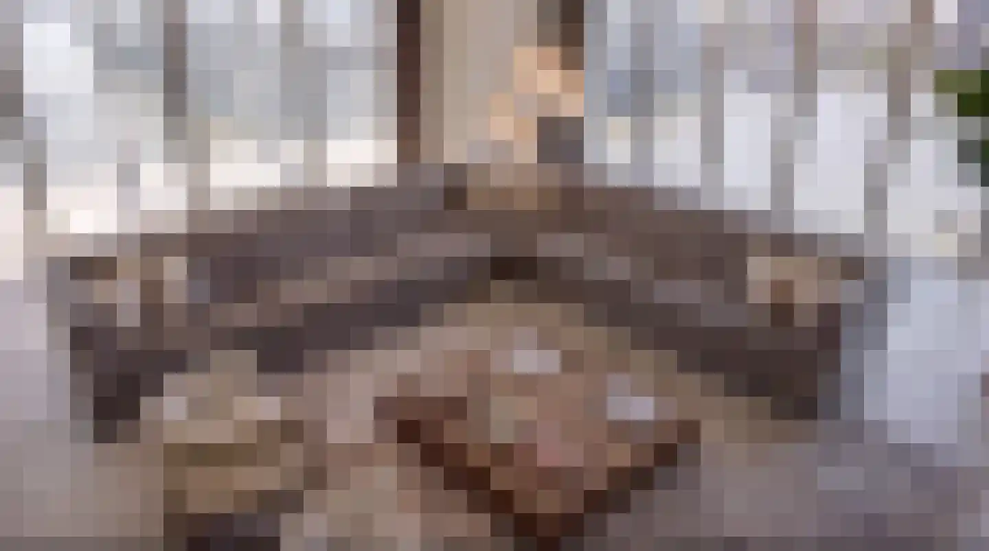 Wilhelminakade 239 Rotterdam thumbnail 7