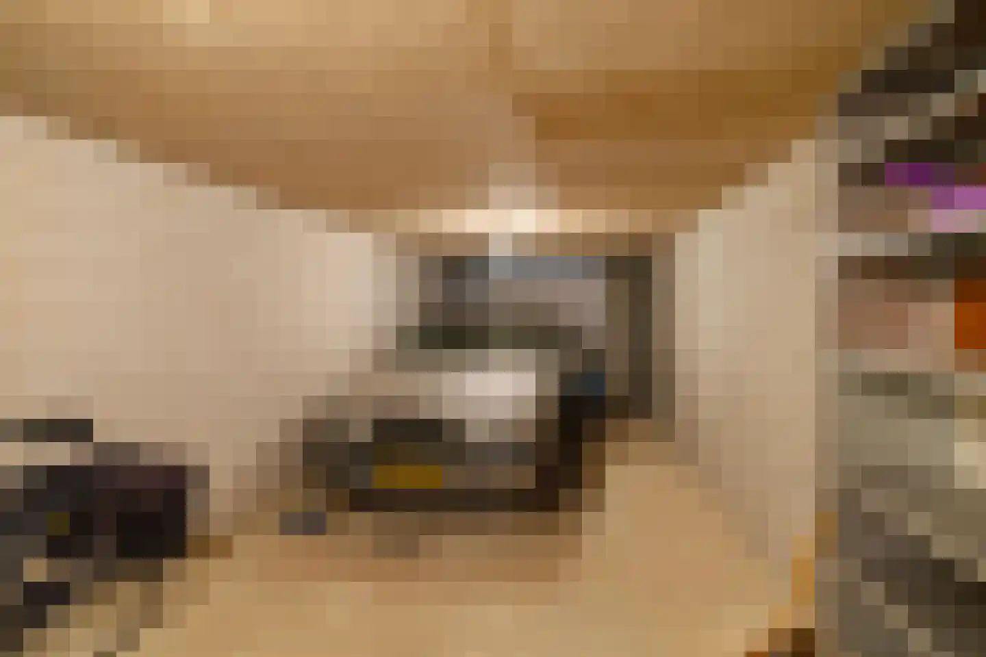 Wilhelminakade 26 Groningen thumbnail 27