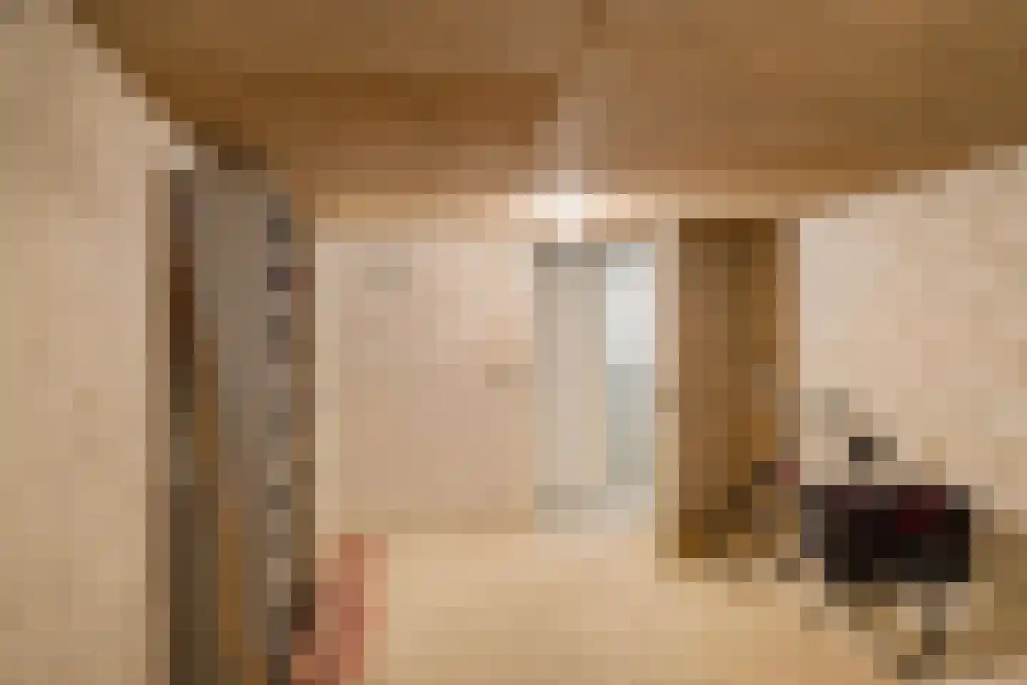 Wilhelminakade 26 Groningen thumbnail 28