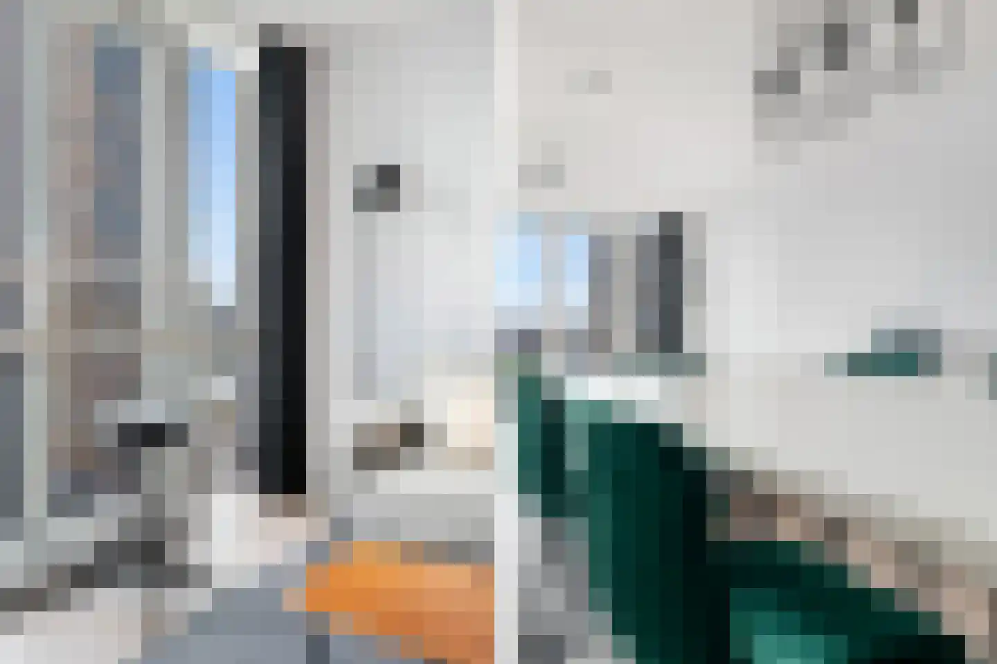 Wilhelminakade 273 Rotterdam thumbnail 8