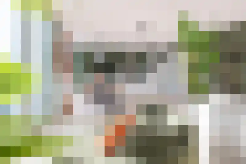 Wilhelminakade 303 Rotterdam thumbnail 12