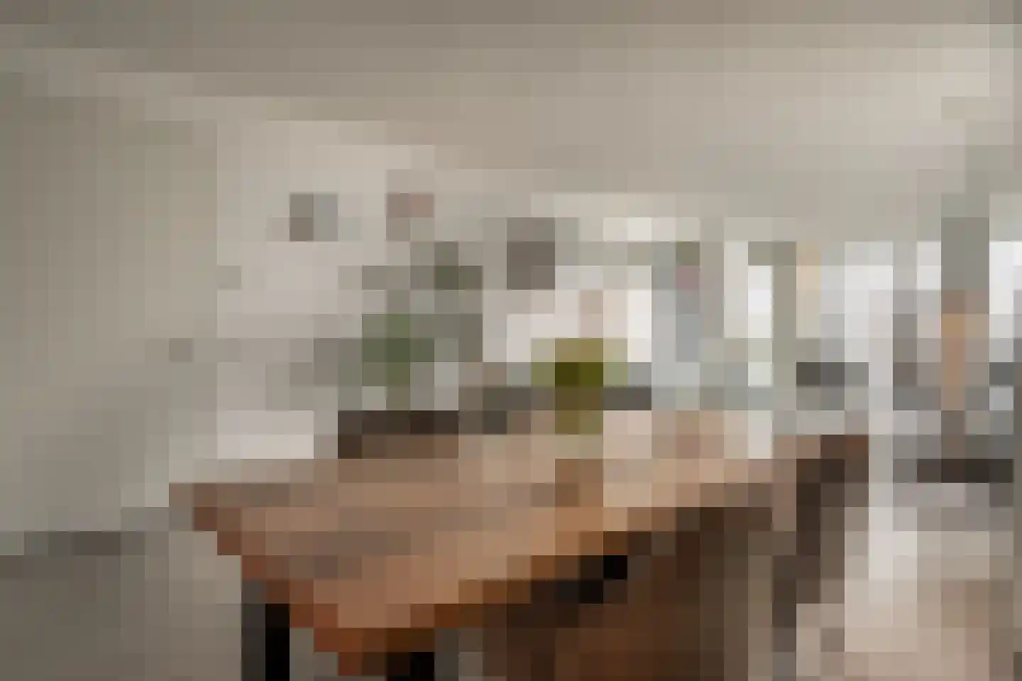 Wilhelminakade 313 Rotterdam thumbnail 10