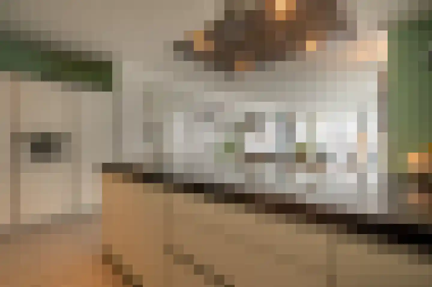 Wilhelminakade 313 Rotterdam thumbnail 13